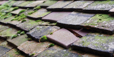 Maulden roof repair costs